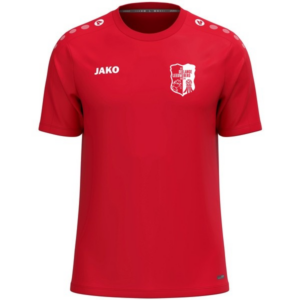 JAKO T-shirt ST De Leeuw / Langeberg